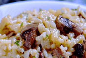 Creamy Mushroom and Rice Casserole