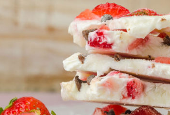 Frozen Yogourt Bark with Berries