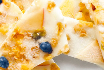 Frozen Yogurt Bark with Blueberries